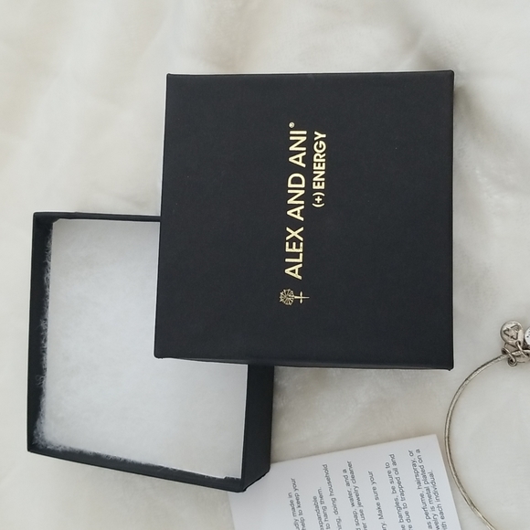 Alex and Ani Compass bracelet with box - Picture 15 of 16